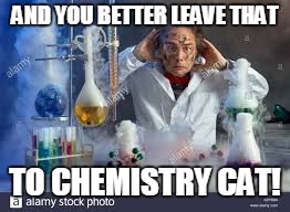 AND YOU BETTER LEAVE THAT TO CHEMISTRY CAT! | made w/ Imgflip meme maker