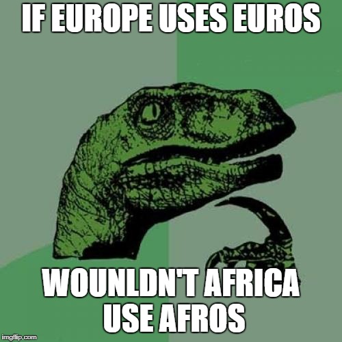 Philosoraptor Meme | IF EUROPE USES EUROS; WOUNLDN'T AFRICA USE AFROS | image tagged in memes,philosoraptor | made w/ Imgflip meme maker