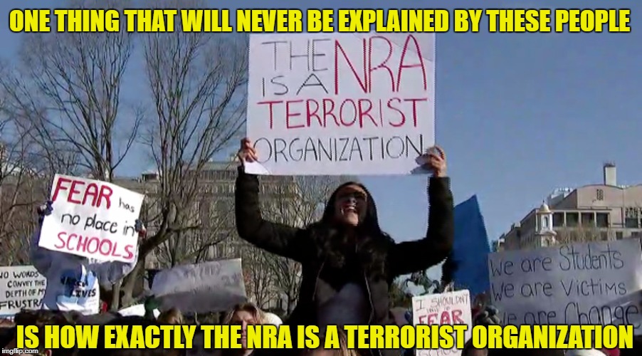 ONE THING THAT WILL NEVER BE EXPLAINED BY THESE PEOPLE; IS HOW EXACTLY THE NRA IS A TERRORIST ORGANIZATION | image tagged in libtards,florida shooting,gun control,retarded liberal protesters,liberal logic,millennials | made w/ Imgflip meme maker