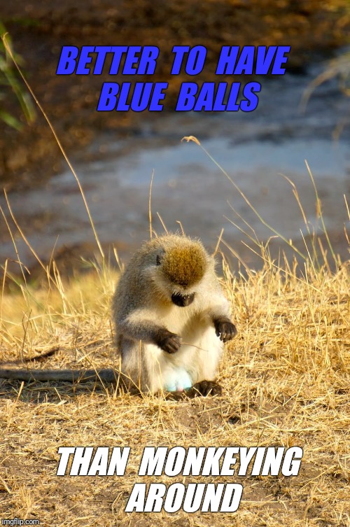 BETTER  TO  HAVE  BLUE  BALLS THAN  MONKEYING  AROUND | made w/ Imgflip meme maker