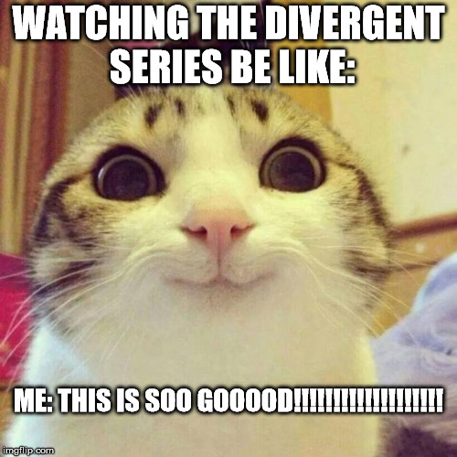 Smiling Cat | WATCHING THE DIVERGENT SERIES BE LIKE:; ME: THIS IS SOO GOOOOD!!!!!!!!!!!!!!!!!!! | image tagged in memes,smiling cat | made w/ Imgflip meme maker