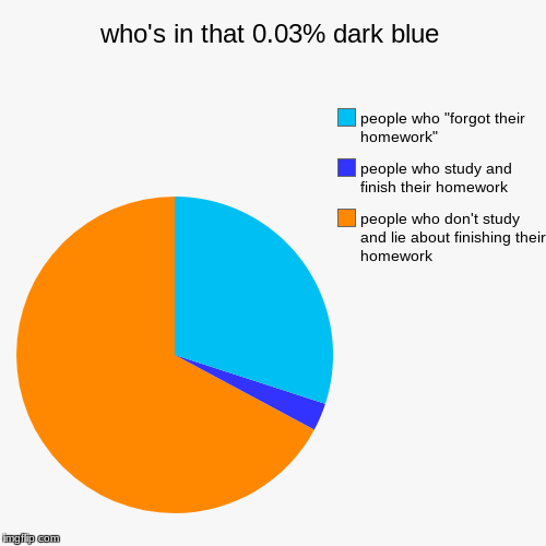 who's in that 0.03% dark blue | people who don't study and lie about finishing their homework, people who study and finish their homework, p | image tagged in funny,pie charts | made w/ Imgflip chart maker