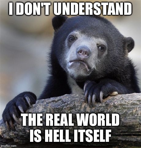 Confession Bear Meme | I DON'T UNDERSTAND THE REAL WORLD IS HELL ITSELF | image tagged in memes,confession bear | made w/ Imgflip meme maker