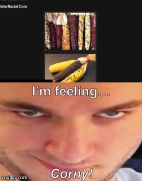 feeling corny | image tagged in funny | made w/ Imgflip meme maker