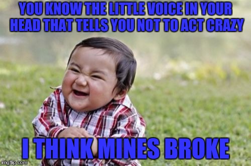 Evil Toddler | YOU KNOW THE LITTLE VOICE IN YOUR HEAD THAT TELLS YOU NOT TO ACT CRAZY; I THINK MINES BROKE | image tagged in memes,evil toddler | made w/ Imgflip meme maker