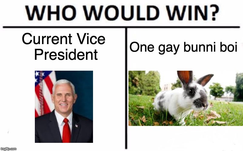 Who Would Win? | Current Vice President; One gay bunni boi | image tagged in memes,who would win | made w/ Imgflip meme maker