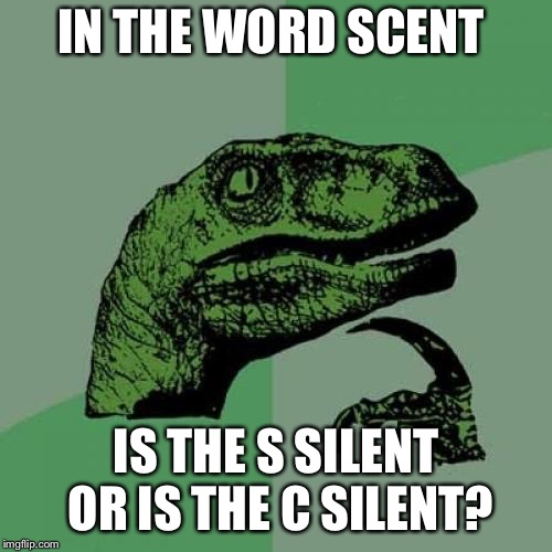Philosoraptor | IN THE WORD SCENT; IS THE S SILENT OR IS THE C SILENT? | image tagged in memes,philosoraptor | made w/ Imgflip meme maker