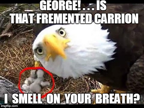GEORGE! . . . IS THAT FREMENTED CARRION I  SMELL  ON  YOUR  BREATH? | made w/ Imgflip meme maker