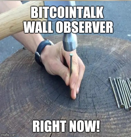 BITCOINTALK WALL OBSERVER; RIGHT NOW! | made w/ Imgflip meme maker