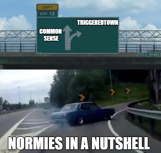 Normies  | COMMON SENSE; TRIGGEREDTOWN; NORMIES IN A NUTSHELL | image tagged in memes,normies,left exit 12 off ramp,in a nutshell | made w/ Imgflip meme maker