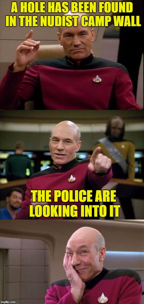 Make it so number pun | A HOLE HAS BEEN FOUND IN THE NUDIST CAMP WALL; THE POLICE ARE LOOKING INTO IT | image tagged in bad pun picard | made w/ Imgflip meme maker