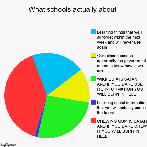 What schools actually about | CHEWING GUM IS SATAN AND IF YOU DARE CHEW IT YOU WILL BURN IN HELL, Learning useful information that you will  | image tagged in funny,pie charts | made w/ Imgflip chart maker