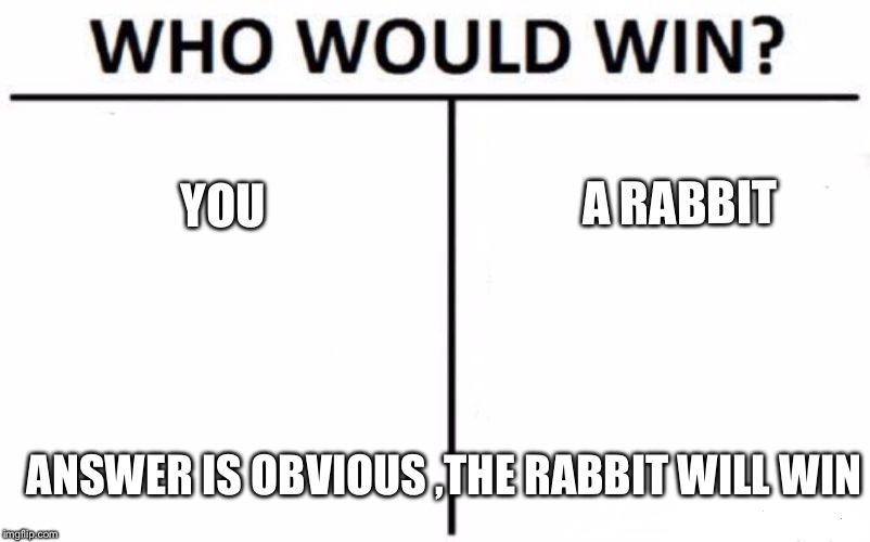Who Would Win? | A RABBIT; YOU; ANSWER IS OBVIOUS ,THE RABBIT WILL WIN | image tagged in memes,who would win | made w/ Imgflip meme maker