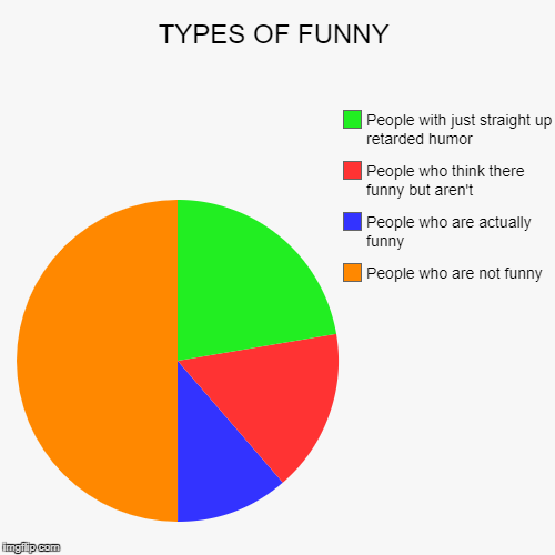 TYPES OF FUNNY | People who are not funny , People who are actually funny  , People who think there funny but aren't , People with just stra | image tagged in funny,pie charts | made w/ Imgflip chart maker