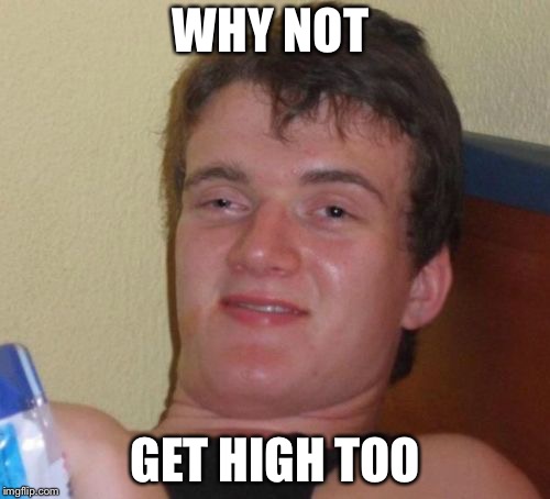 10 Guy Meme | WHY NOT GET HIGH TOO | image tagged in memes,10 guy | made w/ Imgflip meme maker