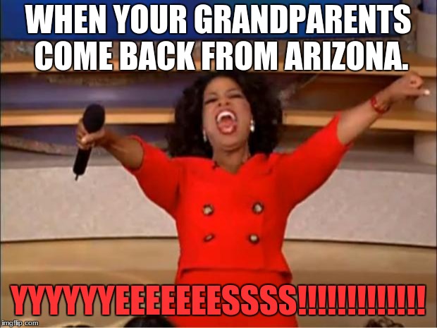 Oprah You Get A | WHEN YOUR GRANDPARENTS COME BACK FROM ARIZONA. YYYYYYEEEEEEESSSS!!!!!!!!!!!!! | image tagged in memes,oprah you get a | made w/ Imgflip meme maker