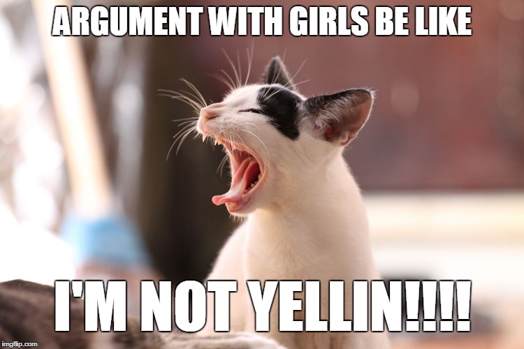 ARGUMENT WITH GIRLS BE LIKE; I'M NOT YELLIN!!!! | made w/ Imgflip meme maker