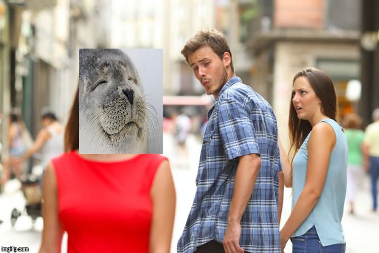 Distracted Boyfriend Meme | image tagged in memes,distracted boyfriend | made w/ Imgflip meme maker