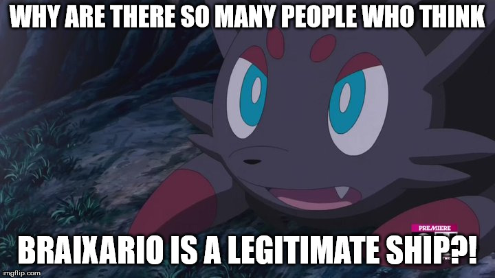 Shipping! Isn't it great kids? | WHY ARE THERE SO MANY PEOPLE WHO THINK; BRAIXARIO IS A LEGITIMATE SHIP?! | image tagged in zorua wtf | made w/ Imgflip meme maker