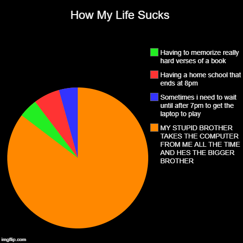 How My Life Sucks | MY STUPID BROTHER TAKES THE COMPUTER FROM ME ALL THE TIME AND HES THE BIGGER BROTHER, Sometimes i need to wait until aft | image tagged in funny,pie charts | made w/ Imgflip chart maker