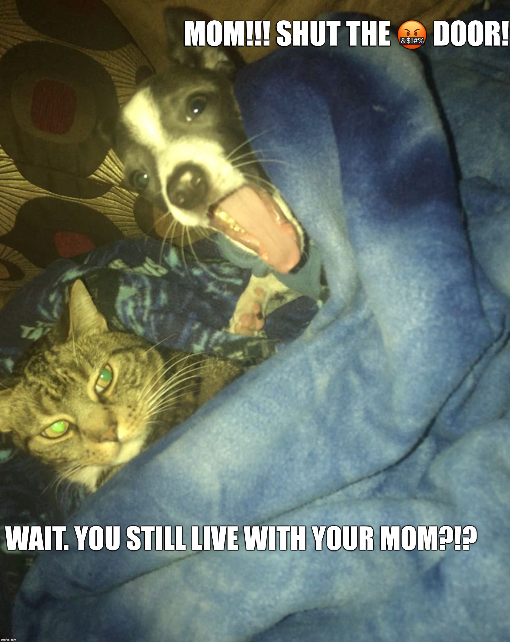 MOM!!! SHUT THE 🤬 DOOR! WAIT. YOU STILL LIVE WITH YOUR MOM?!? | image tagged in shut the door | made w/ Imgflip meme maker