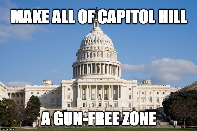 US Capitol | MAKE ALL OF CAPITOL HILL; A GUN-FREE ZONE | image tagged in us capitol | made w/ Imgflip meme maker