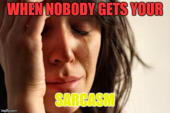 First World Problems | WHEN NOBODY GETS YOUR; SARCASM | image tagged in memes,first world problems | made w/ Imgflip meme maker