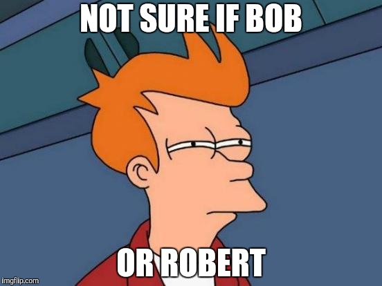 Maybe bobert? | NOT SURE IF BOB; OR ROBERT | image tagged in memes,futurama fry | made w/ Imgflip meme maker