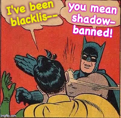 shadow-banned memes | you mean shadow- banned! I've been blacklis-- | image tagged in memes,batman slapping robin | made w/ Imgflip meme maker