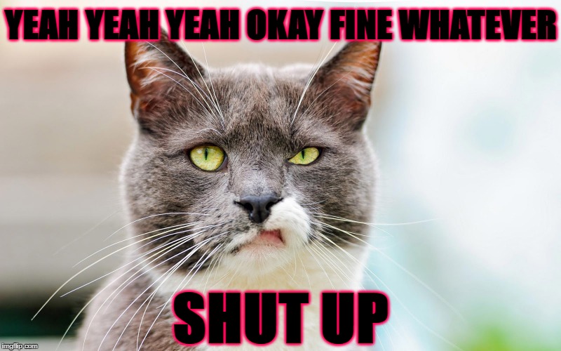 UNINTERESTED CAT | YEAH YEAH YEAH OKAY FINE WHATEVER; SHUT UP | image tagged in uninterested cat | made w/ Imgflip meme maker