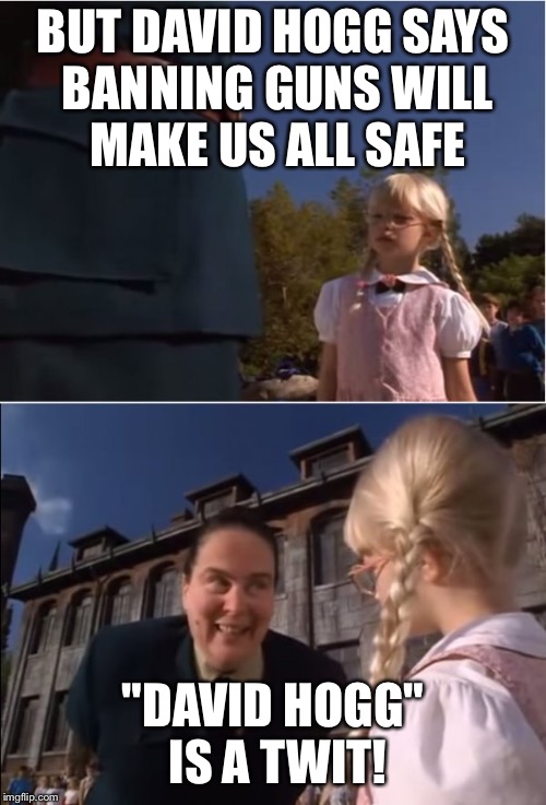 Trunchbull ... Dumb mommy | BUT DAVID HOGG SAYS BANNING GUNS WILL MAKE US ALL SAFE; "DAVID HOGG" IS A TWIT! | image tagged in trunchbull  dumb mommy,david hogg,gun control,2nd amendment,right to bear arms | made w/ Imgflip meme maker