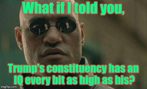 Matrix Morpheus Meme | What if I told you, Trump's constituency has an IQ every bit as high as his? | image tagged in memes,matrix morpheus | made w/ Imgflip meme maker