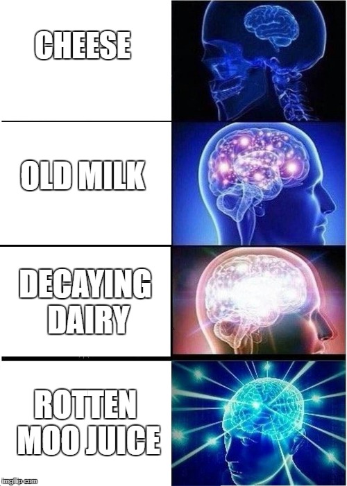 Expanding Brain Meme | CHEESE; OLD MILK; DECAYING DAIRY; ROTTEN MOO JUICE | image tagged in memes,expanding brain | made w/ Imgflip meme maker