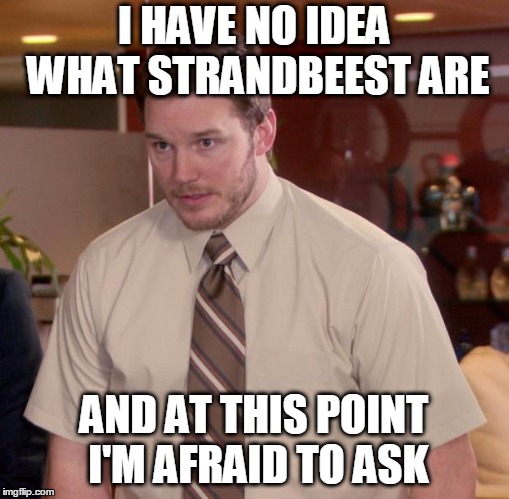 I HAVE NO IDEA WHAT STRANDBEEST ARE AND AT THIS POINT I'M AFRAID TO ASK | made w/ Imgflip meme maker