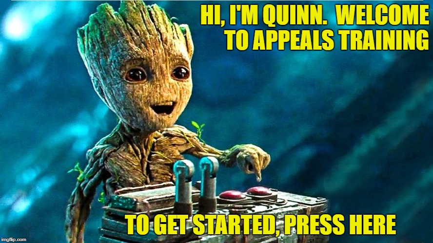 Baby Groot | HI, I'M QUINN.  WELCOME TO APPEALS TRAINING; TO GET STARTED, PRESS HERE | image tagged in baby groot | made w/ Imgflip meme maker