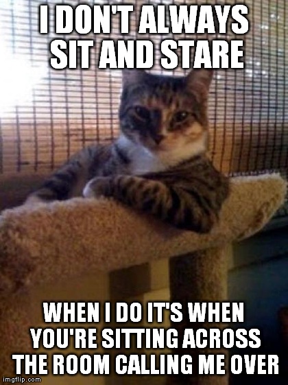 The Most Interesting Cat In The World | image tagged in memes,the most interesting cat in the world | made w/ Imgflip meme maker