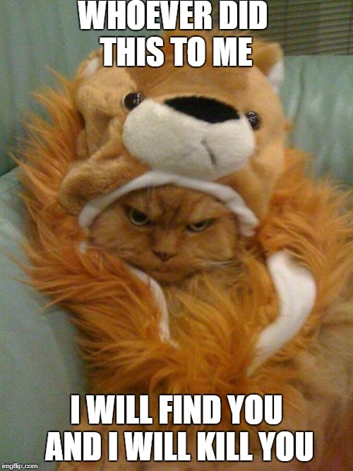 WHOEVER DID THIS TO ME; I WILL FIND YOU AND I WILL KILL YOU | image tagged in grumpy cat,memes,i will find you and i will kill you | made w/ Imgflip meme maker