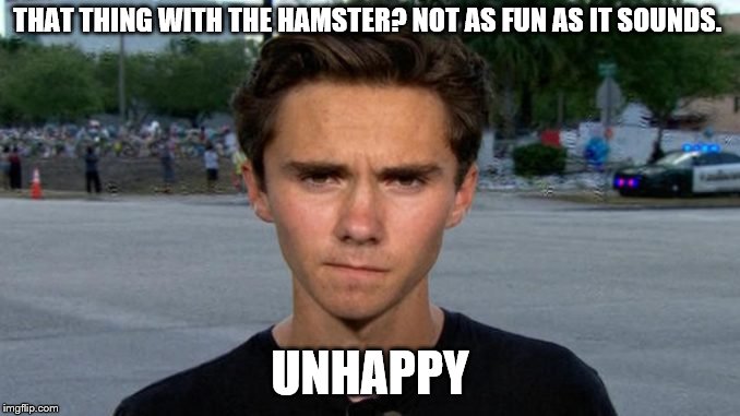 Unhappy Hogg | THAT THING WITH THE HAMSTER? NOT AS FUN AS IT SOUNDS. UNHAPPY | image tagged in hamster,gay,david hogg | made w/ Imgflip meme maker