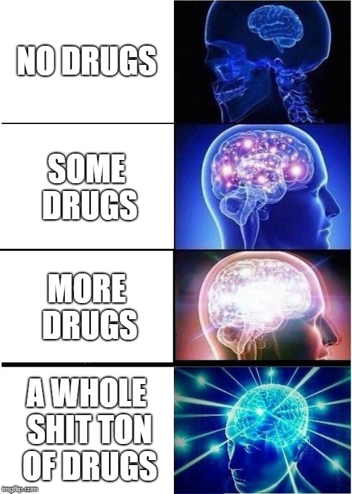 Expanding Brain Meme | NO DRUGS; SOME DRUGS; MORE DRUGS; A WHOLE SHIT TON OF DRUGS | image tagged in memes,expanding brain | made w/ Imgflip meme maker