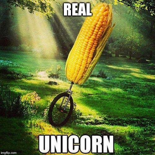 Made from the grounded up horns from real unicorns | REAL | image tagged in unicorn,meme,meow | made w/ Imgflip meme maker