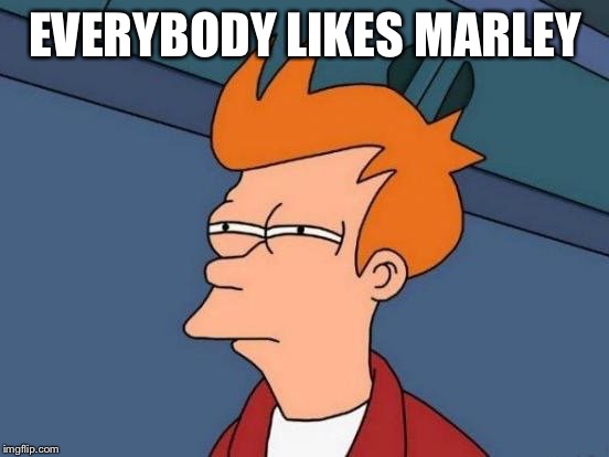 Fry Mirrored | EVERYBODY LIKES MARLEY | image tagged in fry mirrored | made w/ Imgflip meme maker