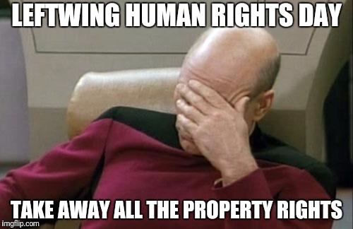 Captain Picard Facepalm Meme | LEFTWING HUMAN RIGHTS DAY TAKE AWAY ALL THE PROPERTY RIGHTS | image tagged in memes,captain picard facepalm | made w/ Imgflip meme maker