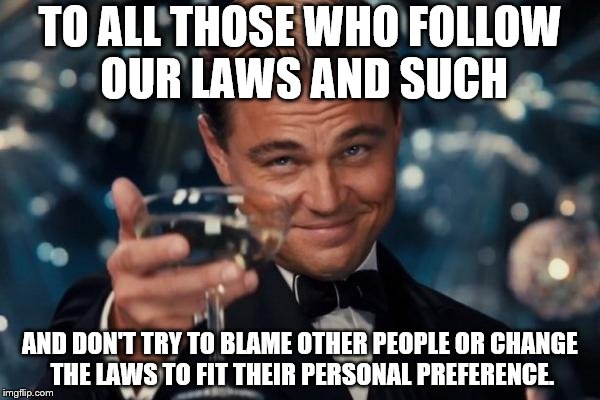 I'm going political 
o.O | TO ALL THOSE WHO FOLLOW OUR LAWS AND SUCH; AND DON'T TRY TO BLAME OTHER PEOPLE OR CHANGE THE LAWS TO FIT THEIR PERSONAL PREFERENCE. | image tagged in memes,leonardo dicaprio cheers | made w/ Imgflip meme maker