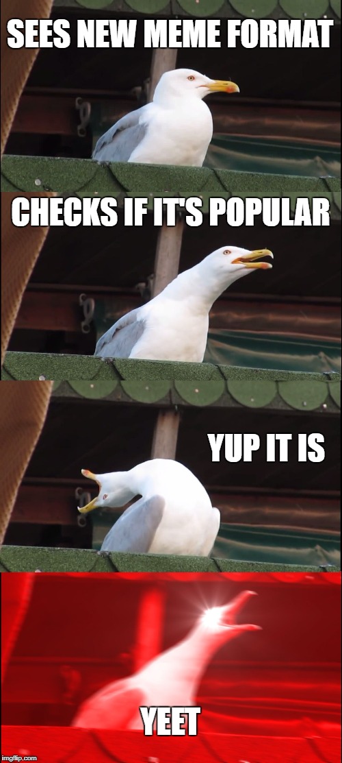 Inhaling Seagull Meme | SEES NEW MEME FORMAT; CHECKS IF IT'S POPULAR; YUP IT IS; YEET | image tagged in memes,inhaling seagull | made w/ Imgflip meme maker