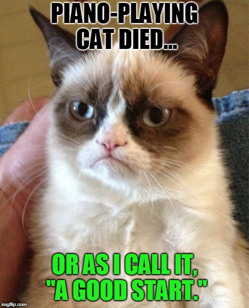 Grumpy Cat | PIANO-PLAYING CAT DIED... OR AS I CALL IT, "A GOOD START." | image tagged in memes,grumpy cat,piano | made w/ Imgflip meme maker