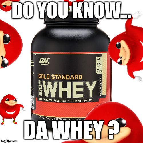 Do you know the whay ? | DO YOU KNOW... DA WHEY ? | image tagged in ugandan knuckles,whay,do you know the way,knuckles,chuckles | made w/ Imgflip meme maker