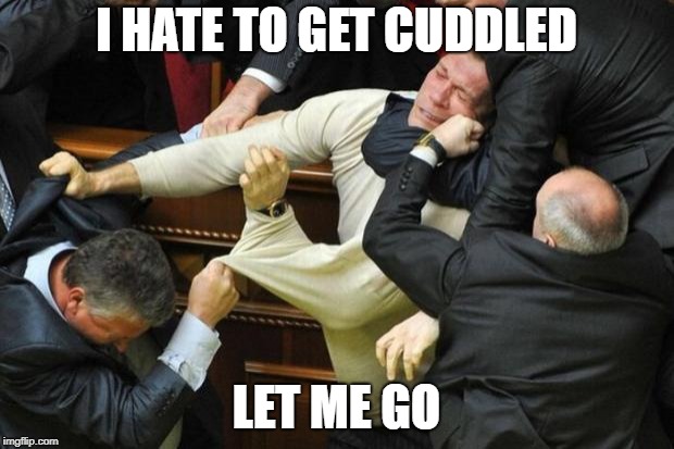 Fight | I HATE TO GET CUDDLED; LET ME GO | image tagged in fight | made w/ Imgflip meme maker