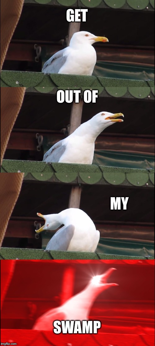 Inhaling Seagull | GET; OUT OF; MY; SWAMP | image tagged in memes,inhaling seagull | made w/ Imgflip meme maker