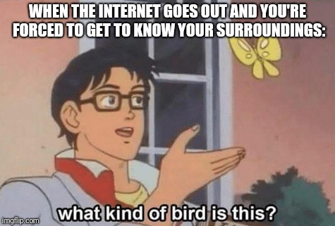 WHEN THE INTERNET GOES OUT AND YOU'RE FORCED TO GET TO KNOW YOUR SURROUNDINGS: | image tagged in memes | made w/ Imgflip meme maker