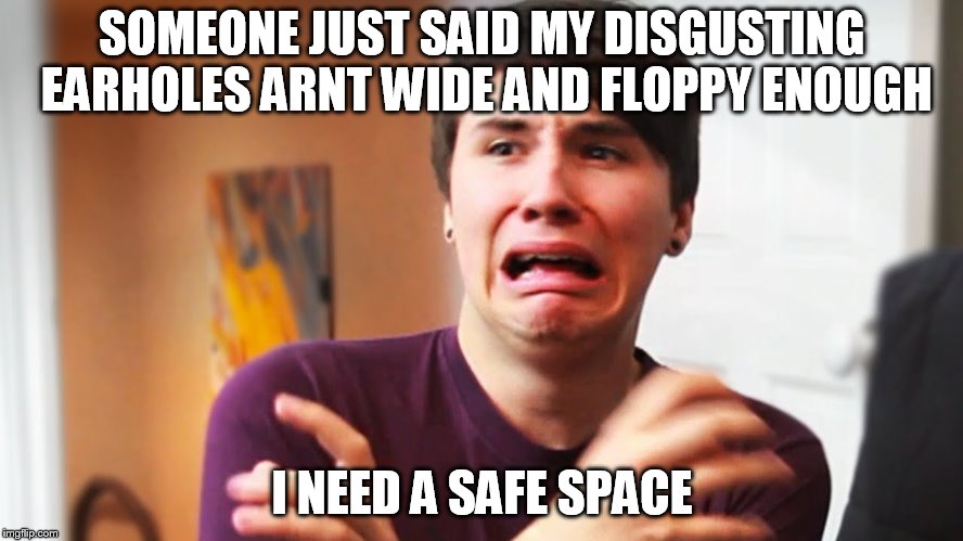 Male SJW | SOMEONE JUST SAID MY DISGUSTING EARHOLES ARNT WIDE AND FLOPPY ENOUGH; I NEED A SAFE SPACE | image tagged in male sjw | made w/ Imgflip meme maker
